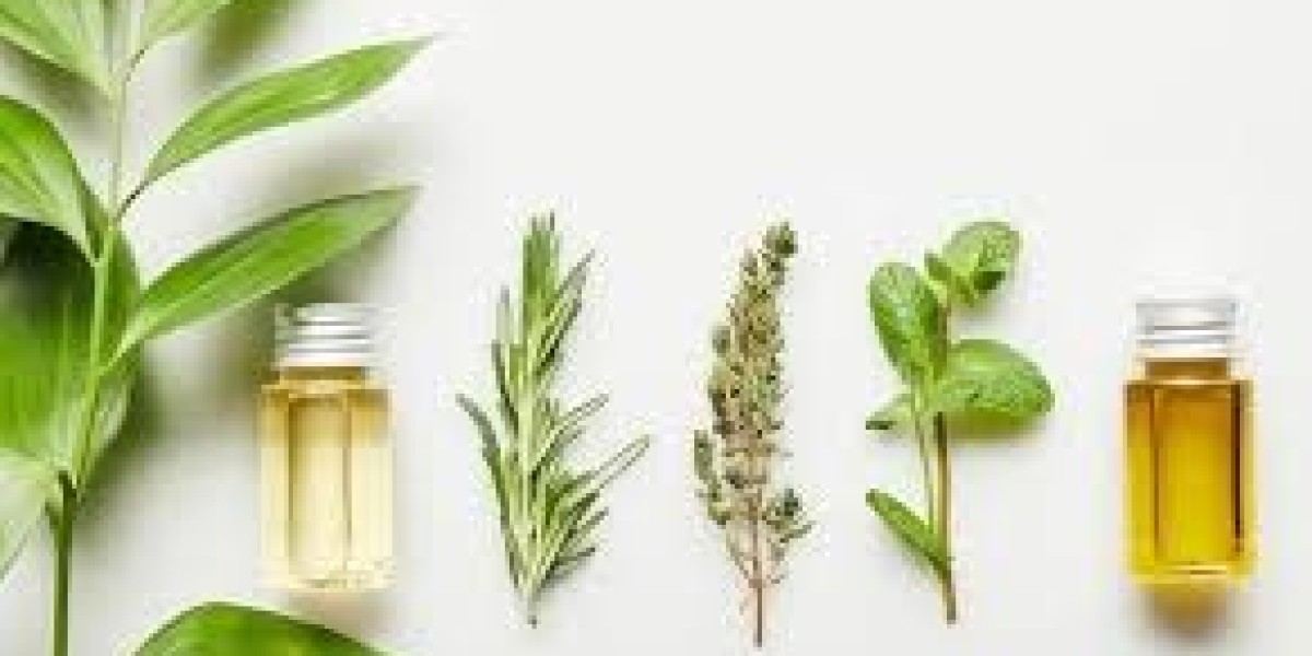 Botanical Extracts Market identifying segments