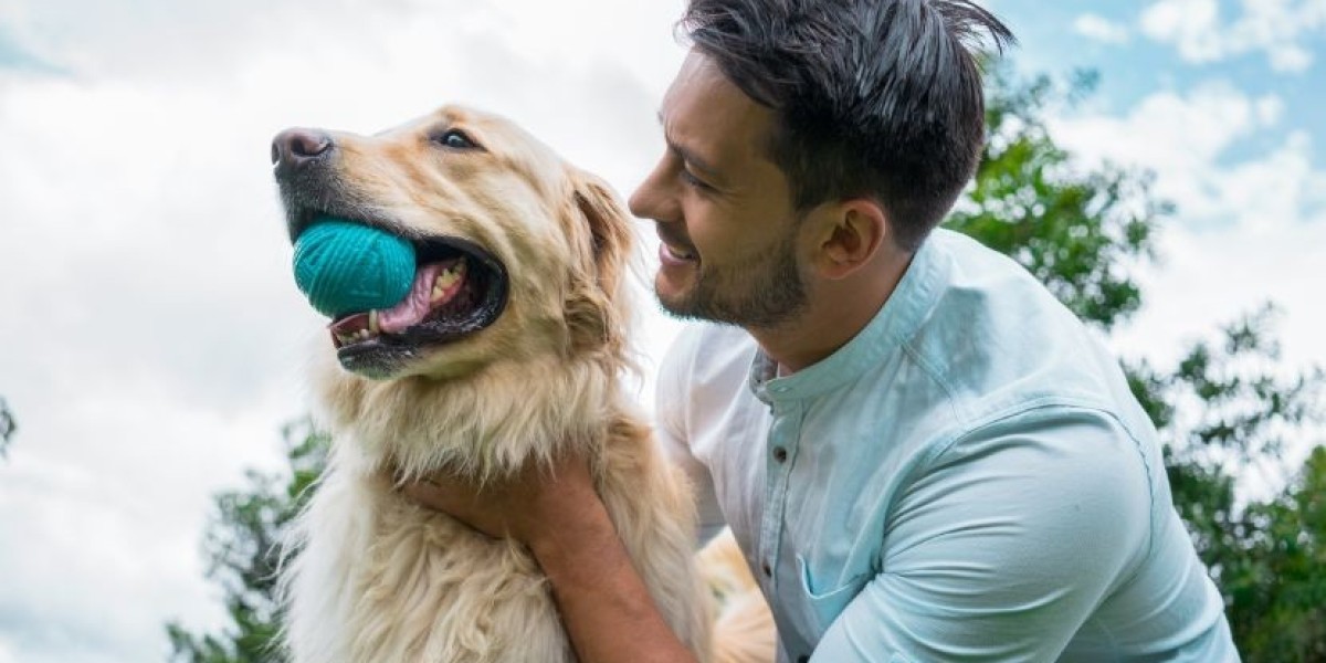 United States Pet Tech Market Size Report 2025-