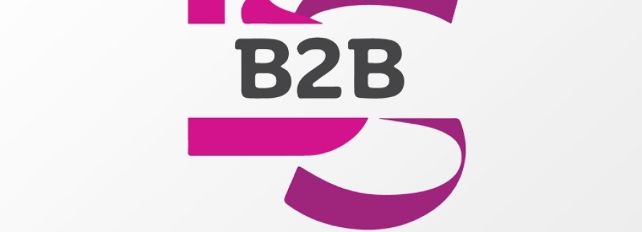 B2B IT Solutions Cover Image