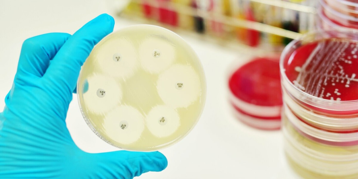 Breathable Antimicrobial Coatings Market
