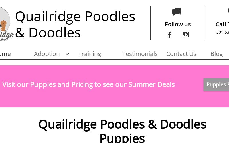 Bernedoodle Puppies Maryland | Mini & Micro Bernedoodles for Sale