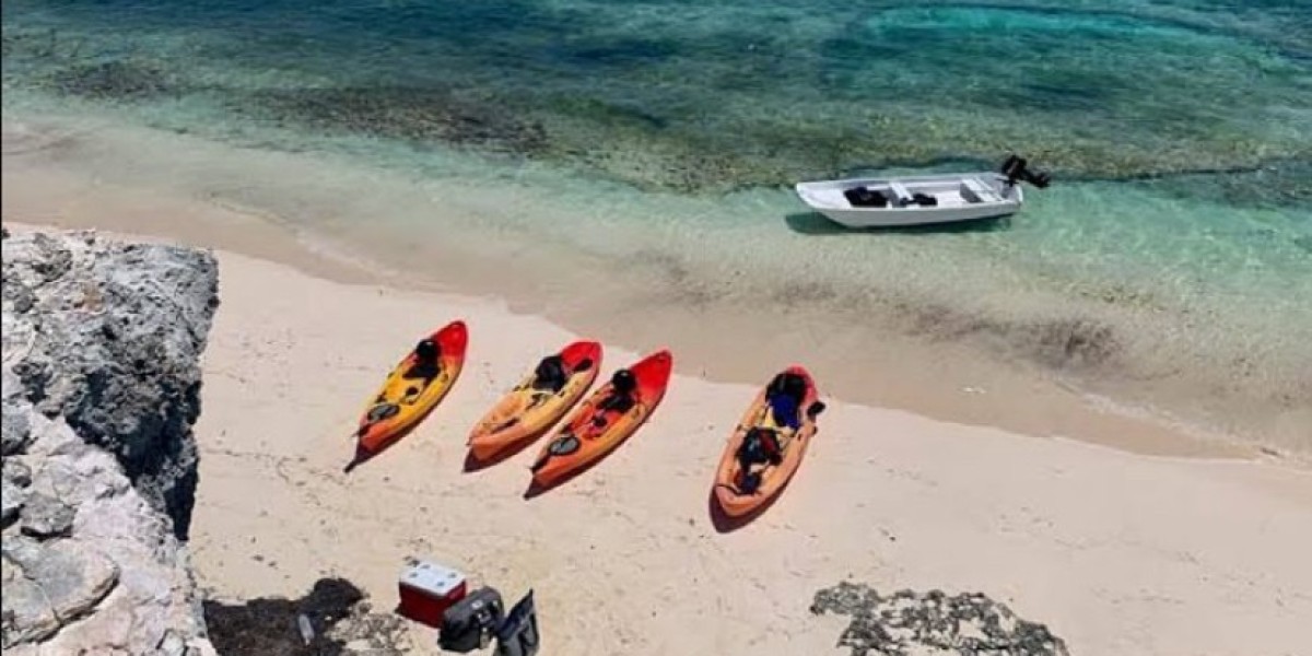 Choosing the Right Travel Companies