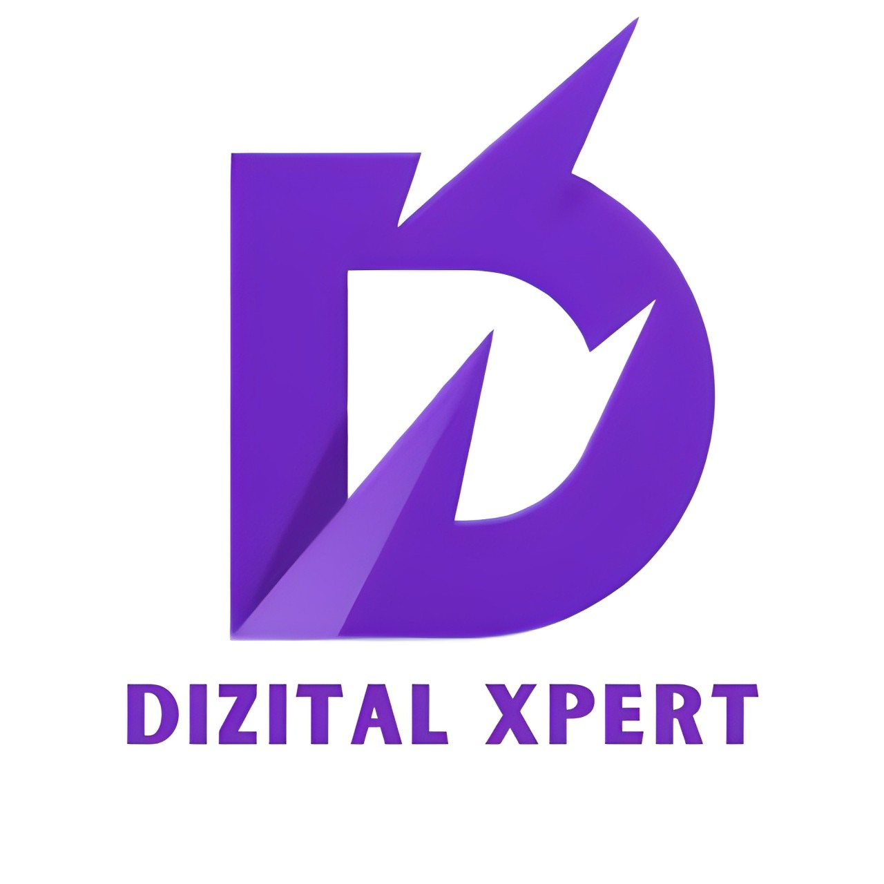DizitalXpert Profile Picture