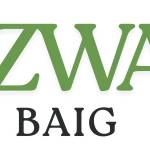 Rizwan Baig Profile Picture