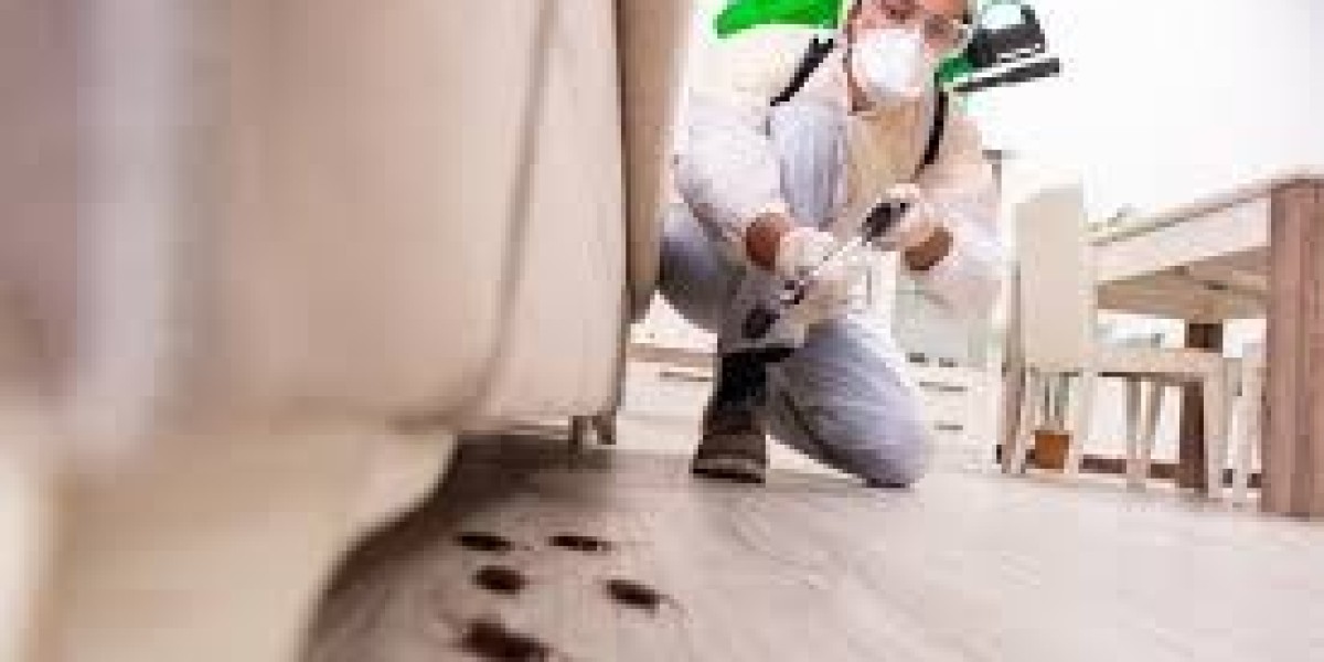 Fast & Safe Emergency Pest Control Dubai