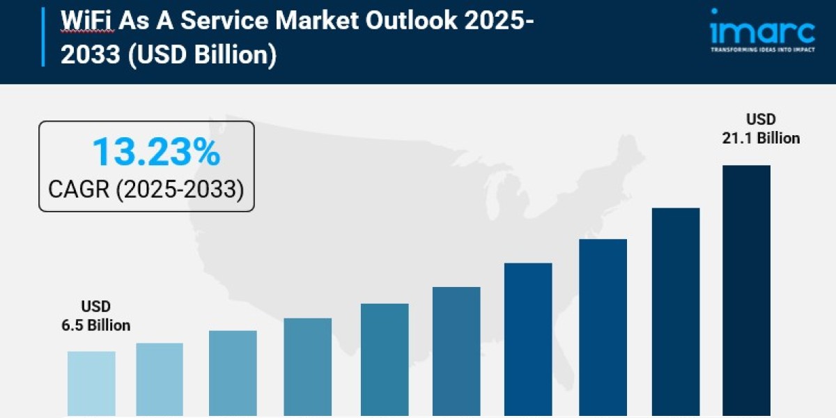 WiFi As A Service Market Analysis 2025-2033