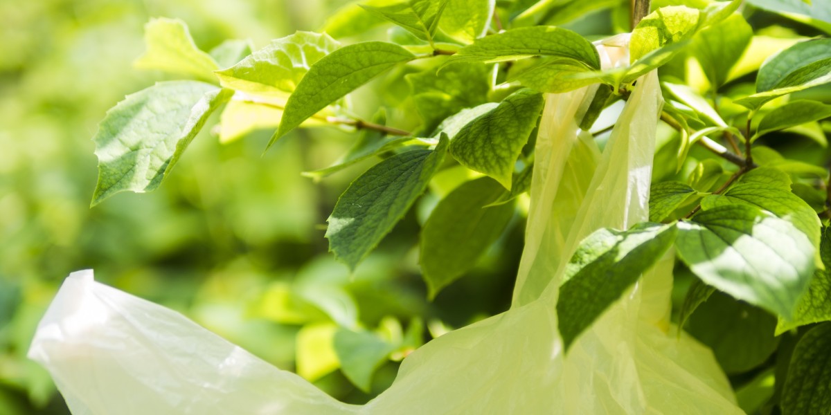 Biodegradable Films Market Demand: Transforming