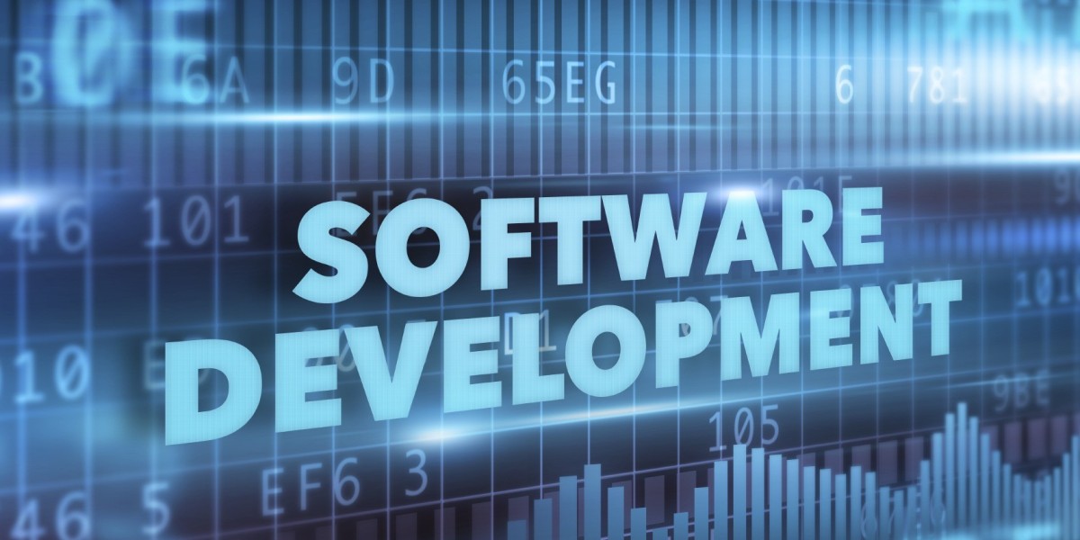 Powering Business Growth Through Custom Softwar
