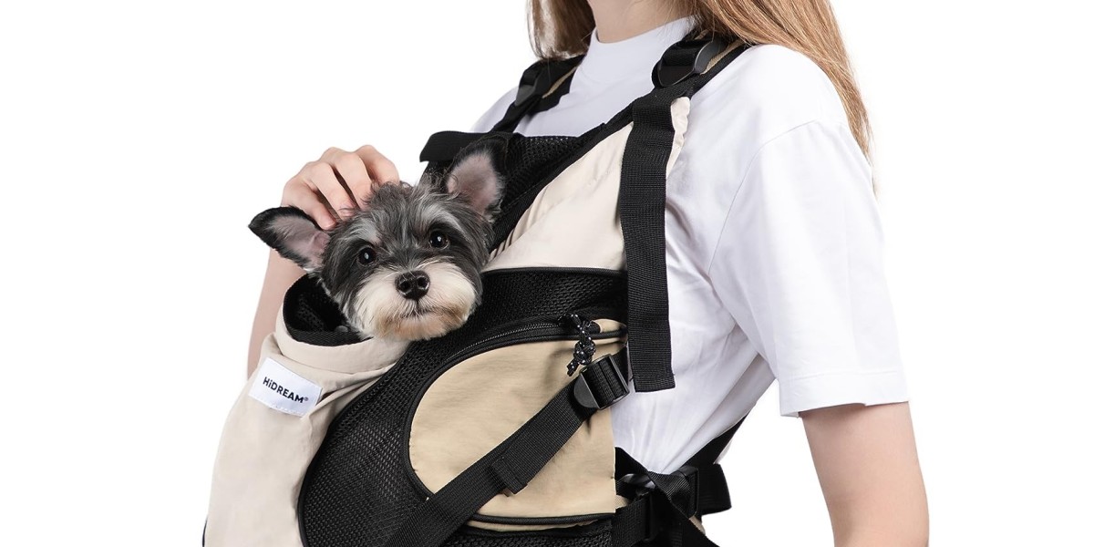 The Perfect Companion: Choosing the Best Dog Sl