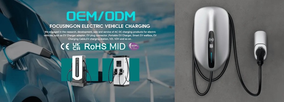 China LiCB EV  Charger Cover Image
