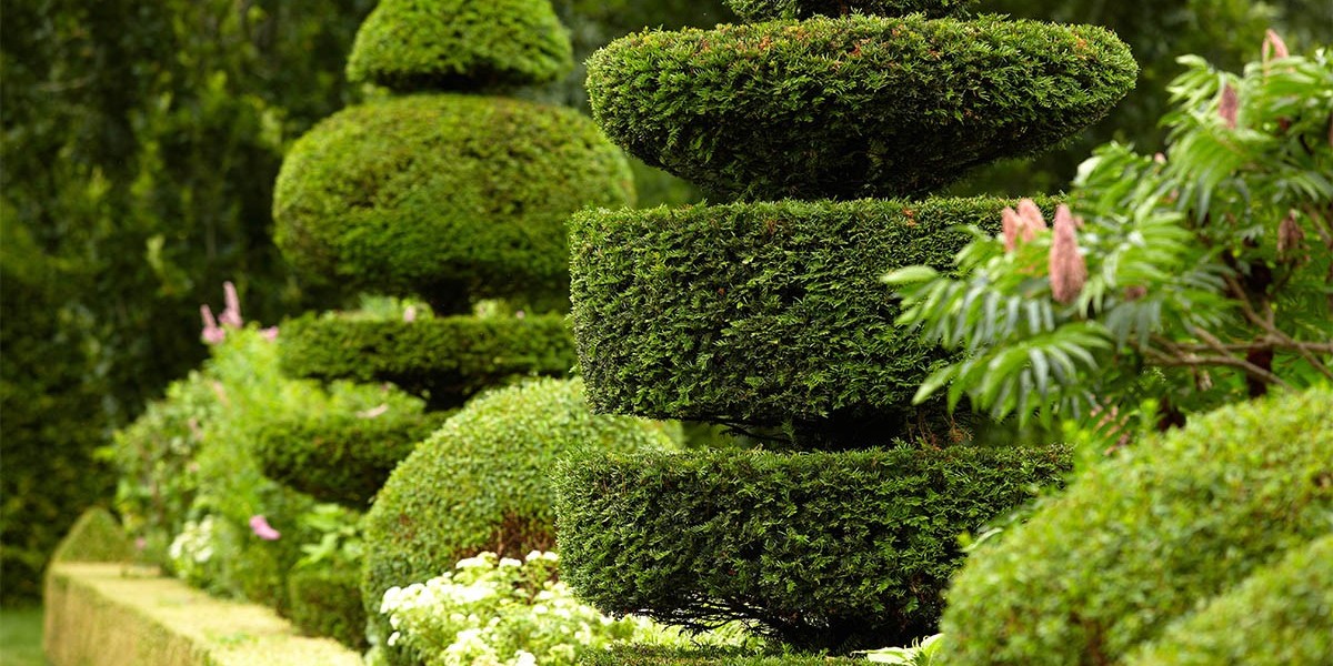 Garden Maintenance That Boosts Property Value
