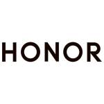 HONOR SERVICE CENTER IN MANEWADA Profile Picture