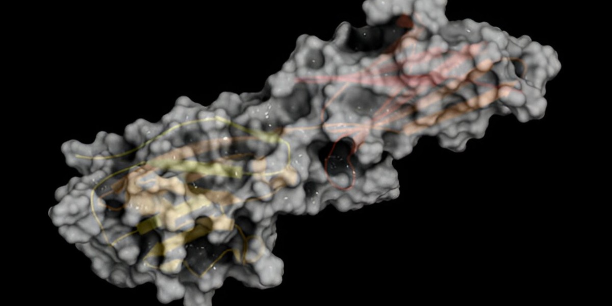 PD/L-1 Inhibitor Market