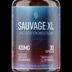 Sauvage XL france Profile Picture