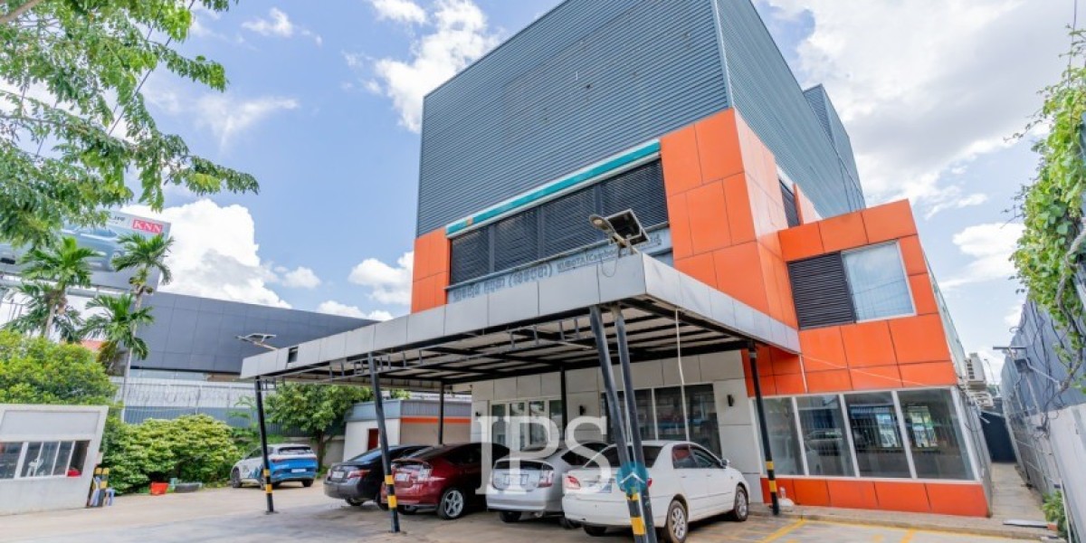 Which Phnom Penh areas suit graduates with help