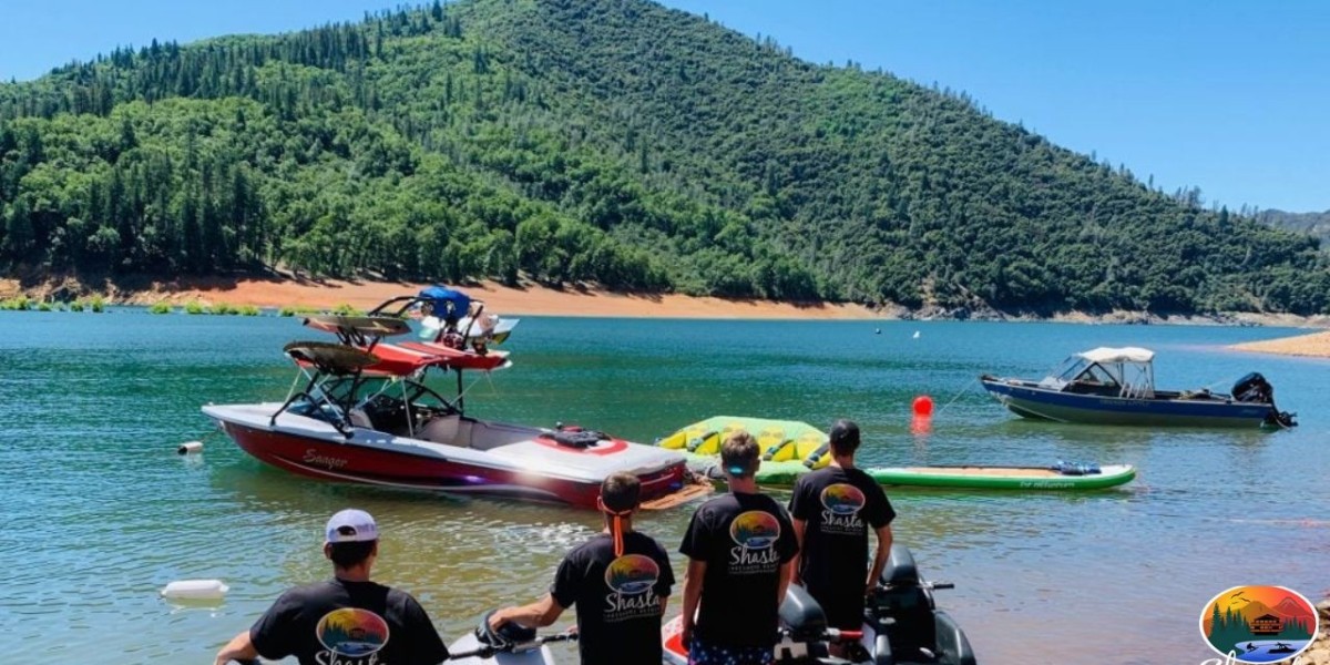 Shasta Lake Water Level Guide