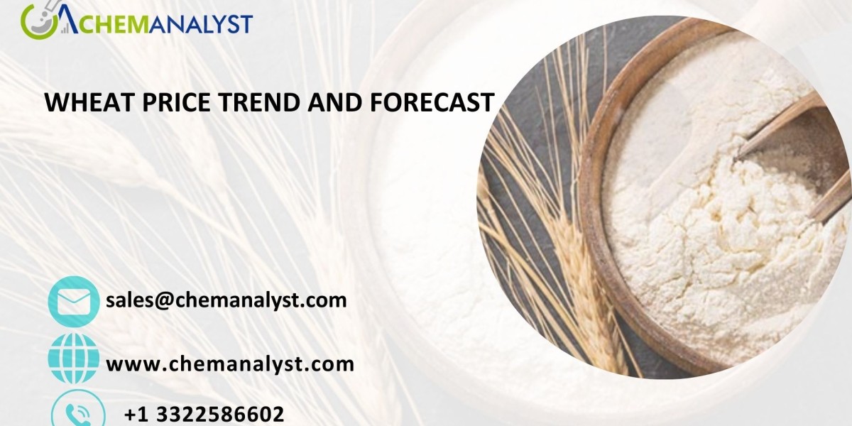 Global Wheat Demand Outlook and Price Forecast