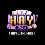 Haywin Cong game doi thuong Profile Picture