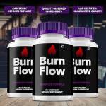 burn flow reviews Profile Picture