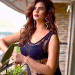 Nikita Roy Profile Picture