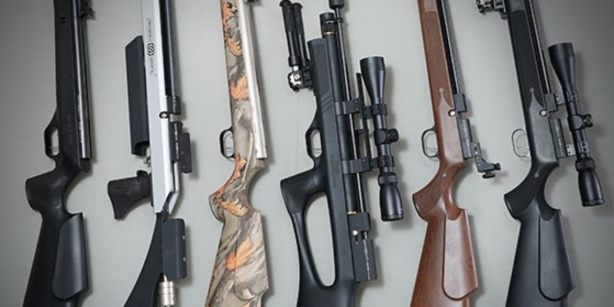 Air Guns – Maintenance and Care Tips for Longev
