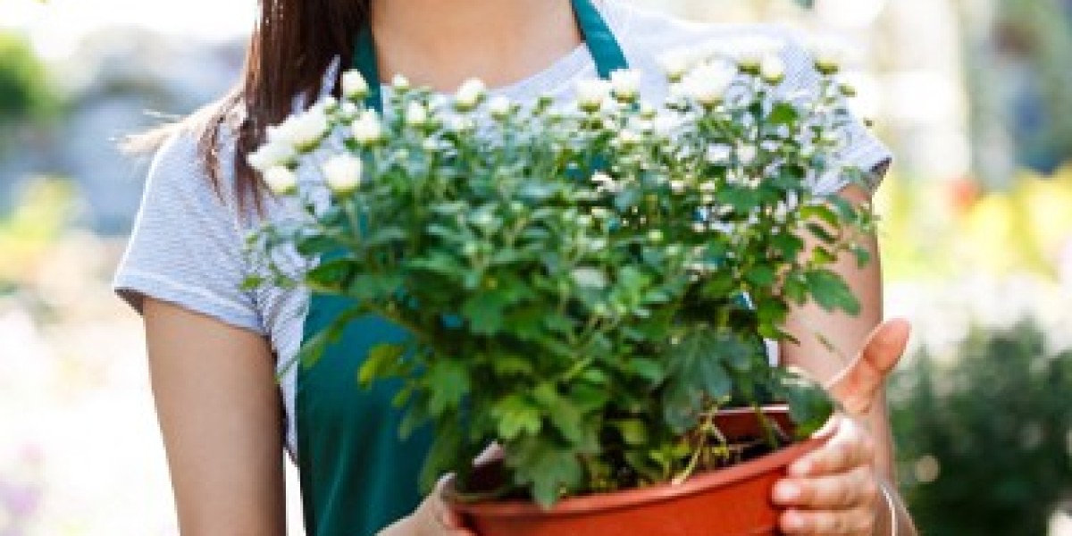 Elevating Outdoor Living with Landscaping Excel