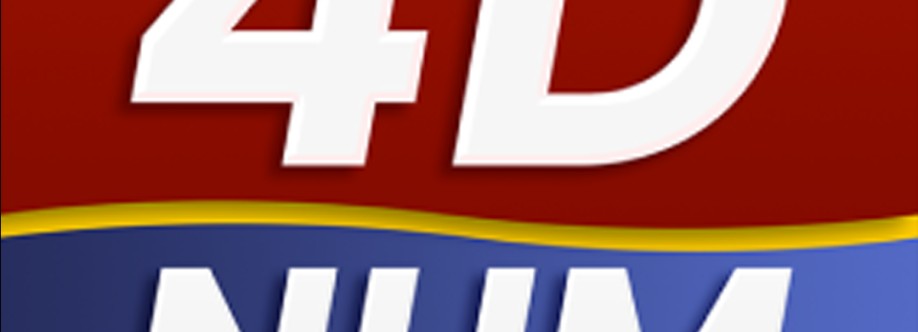 4DNum Result Cover Image