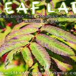 leaflabtry Profile Picture