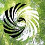 Elemental Acupuncture Profile Picture