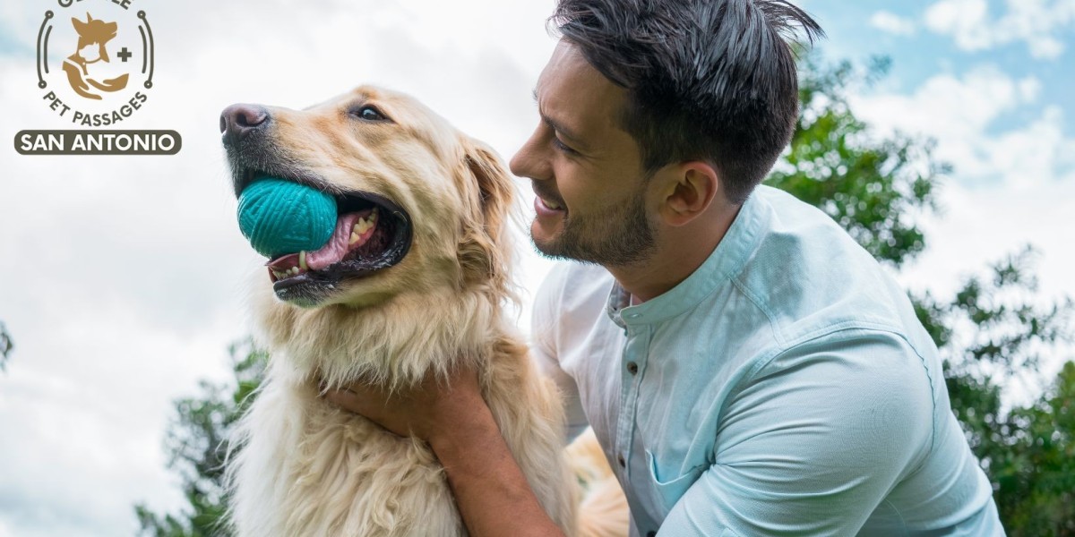 Compassionate In-Home Pet Euthanasia Services i