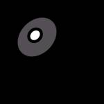 Education Profile Picture