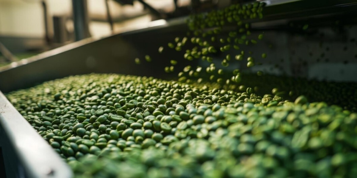 Report on Setting Up Snap Pea Processing Plant
