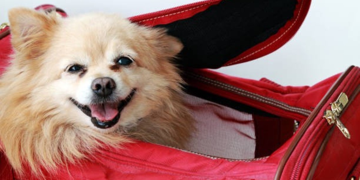 Choosing the Best Dog Carrier Bag for Everyday