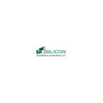 Silicon Consultant Profile Picture