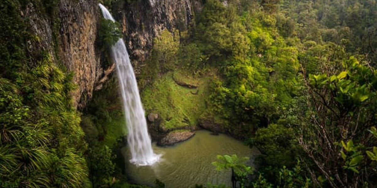 New Zealand’s Wine Country Tours for Visa Holde