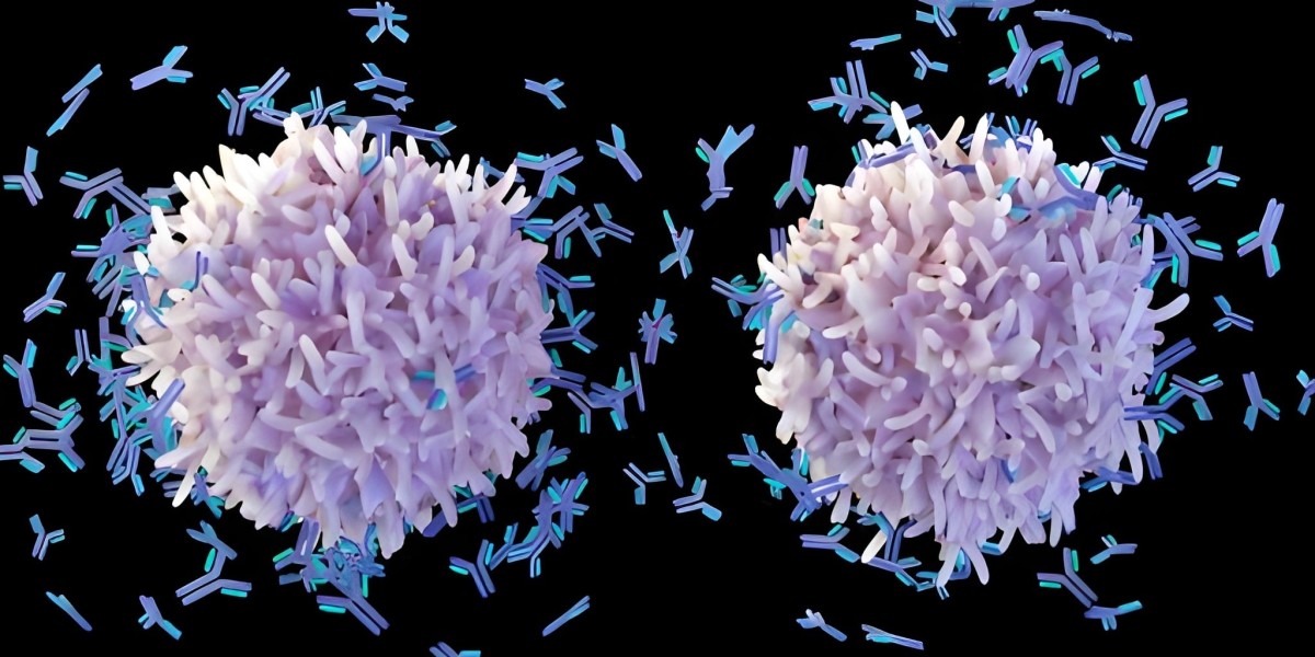 Bispecific Antibodies