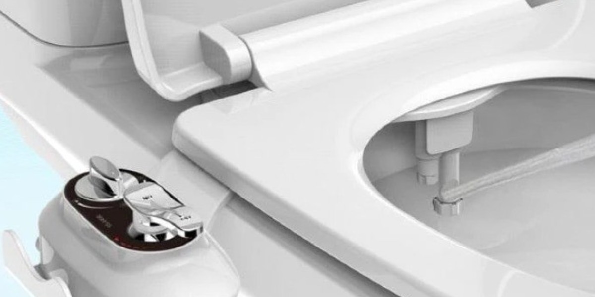 The Modern Wash: Hand Held Bidet Upgrade