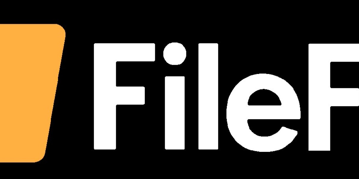 The Ultimate Guide to Choosing a File Share Web