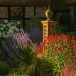Jeremy Allen Garden Design Profile Picture