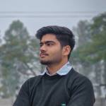mann verma Profile Picture