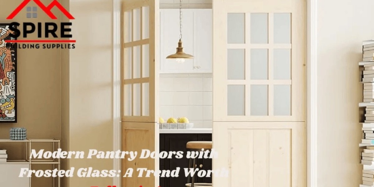 Modern Pantry Doors with Frosted Glass