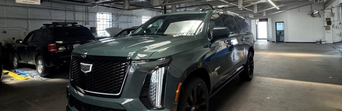 VVIP toronto limo Cover Image