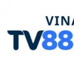 tv88vina com Profile Picture