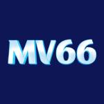 mv66innet Profile Picture