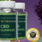 BeulaherBean BeulaherBean Profile Picture