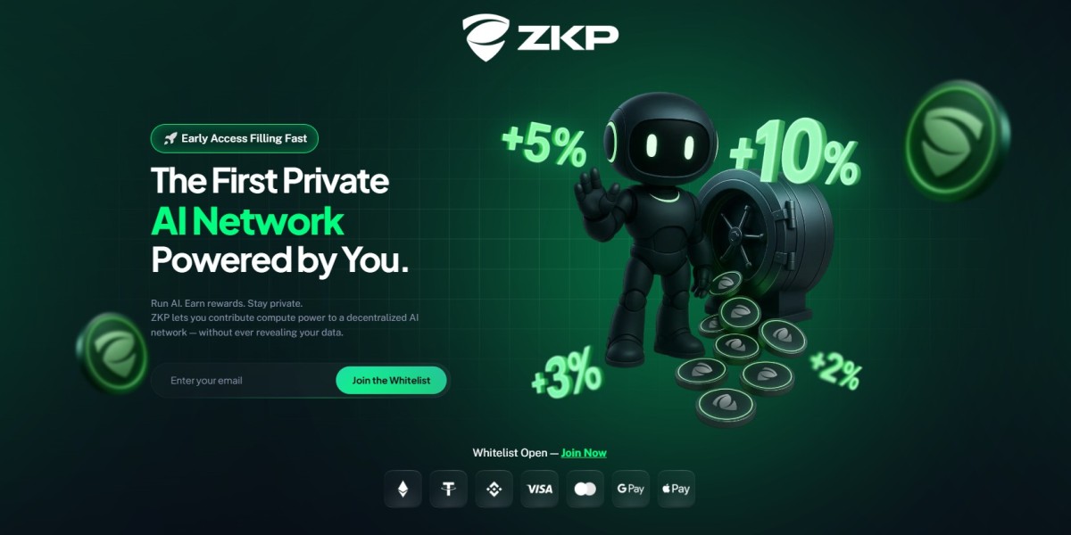 Privacy-First AI & Blockchain with ZKP