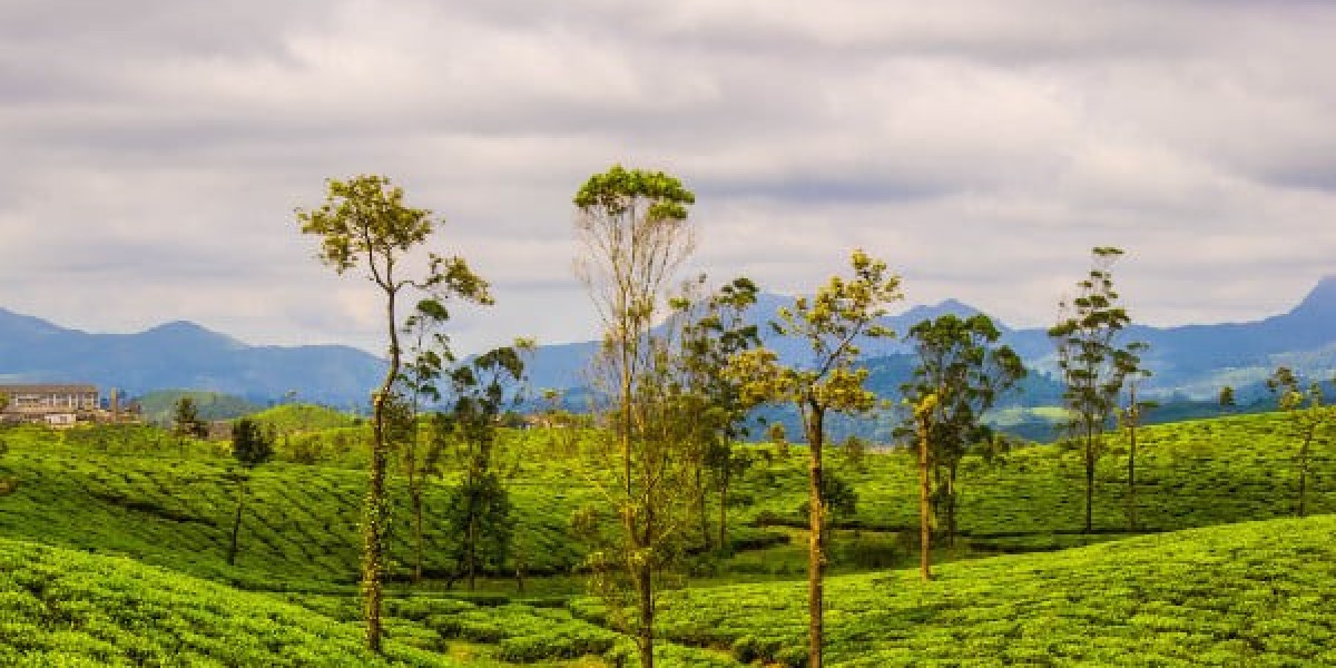 Pollachi to Valparai Cab