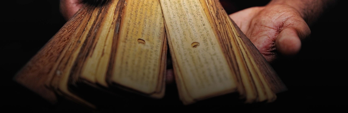 My Palm Leaf Cover Image