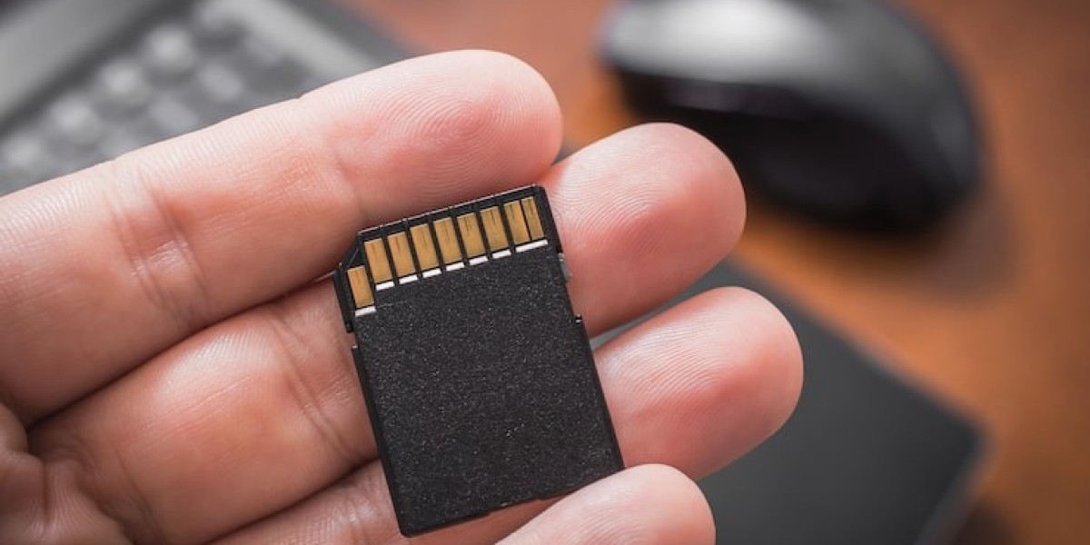 Professional SD Card Recovery to Restore Lost D