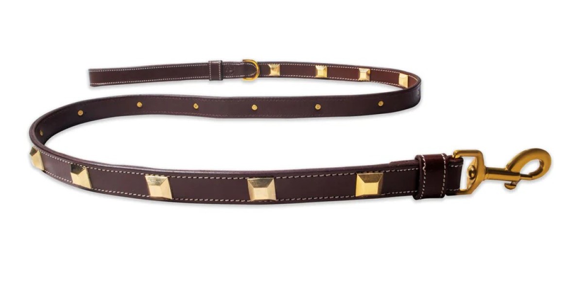 The Timeless Appeal of Leather Leashes